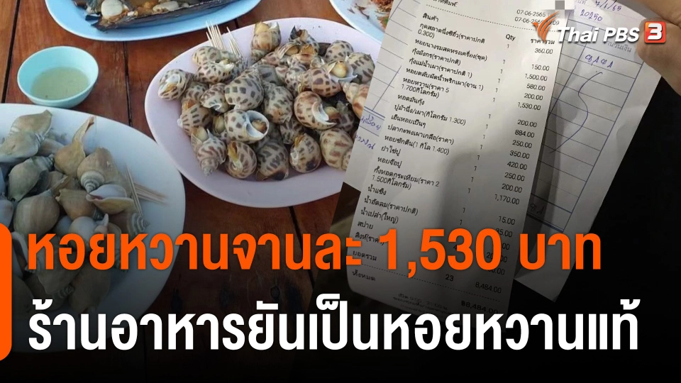 ดรามาหอยหวานจานละ 1,530 บาท ร้านอาหารยืนยันเป็นหอยหวานแท้ตัวเป็น ๆ