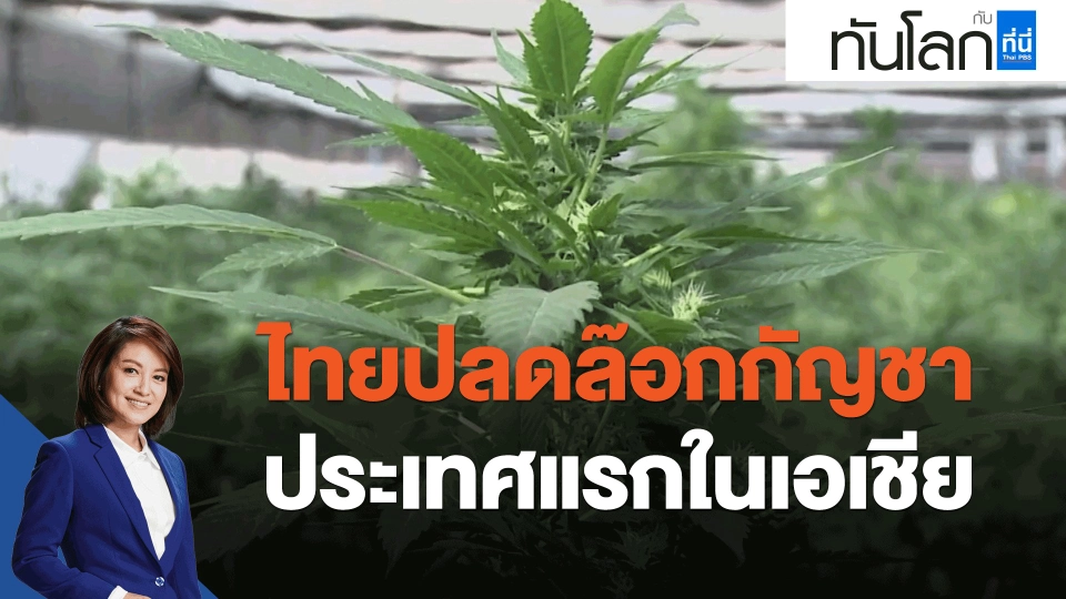 ​ไทยปลดล๊อกกัญชาประเทศแรกในเอเชีย