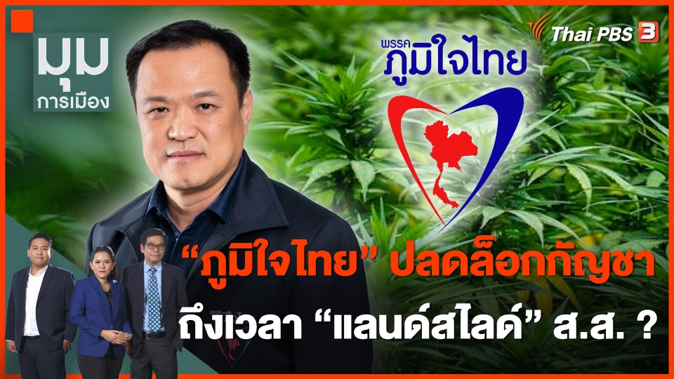 "ภูมิใจไทย" ปลดล็อกกัญชา..ถึงเวลา "แลนด์สไลด์" ส.ส. ?