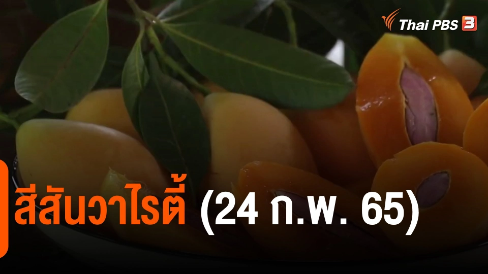 สีสันวาไรตี้ (24 ก.พ. 65)