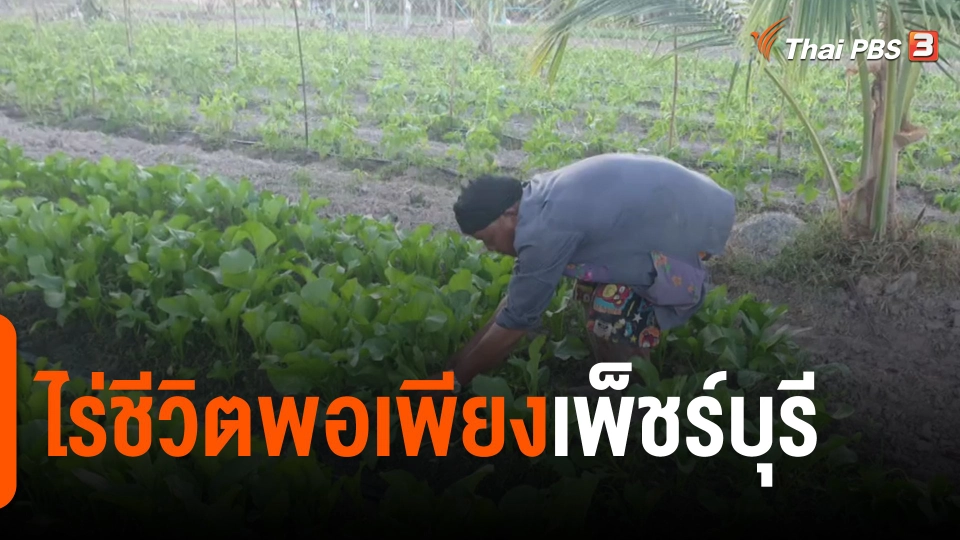 ​ดอกผลของความยั่งยืน : ไร่ชีวิตพอเพียงเพ็ชร์บุรี