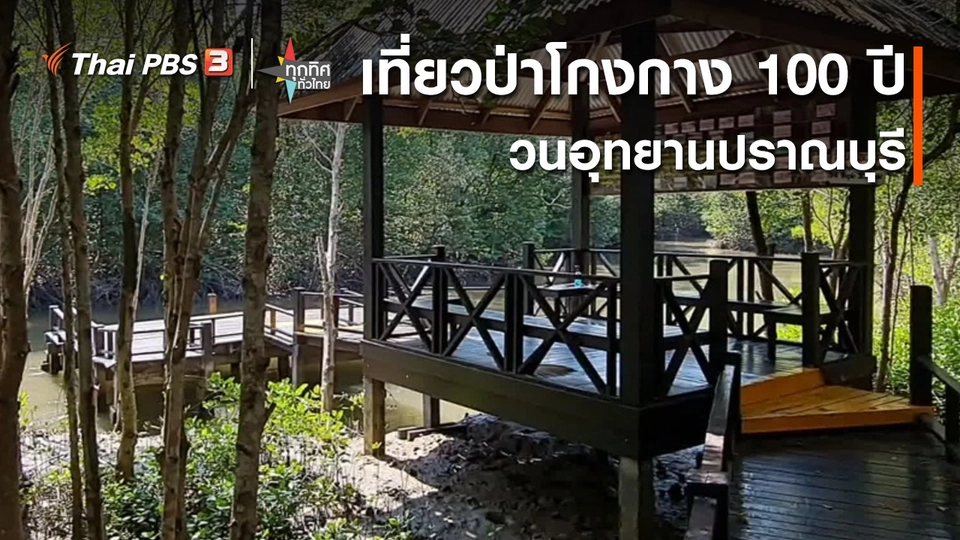 วิถีทั่วไทย : เที่ยวป่าโกงกาง 100 ปี วนอุทยานปราณบุรี จ.ประจวบคีรีขันธ์