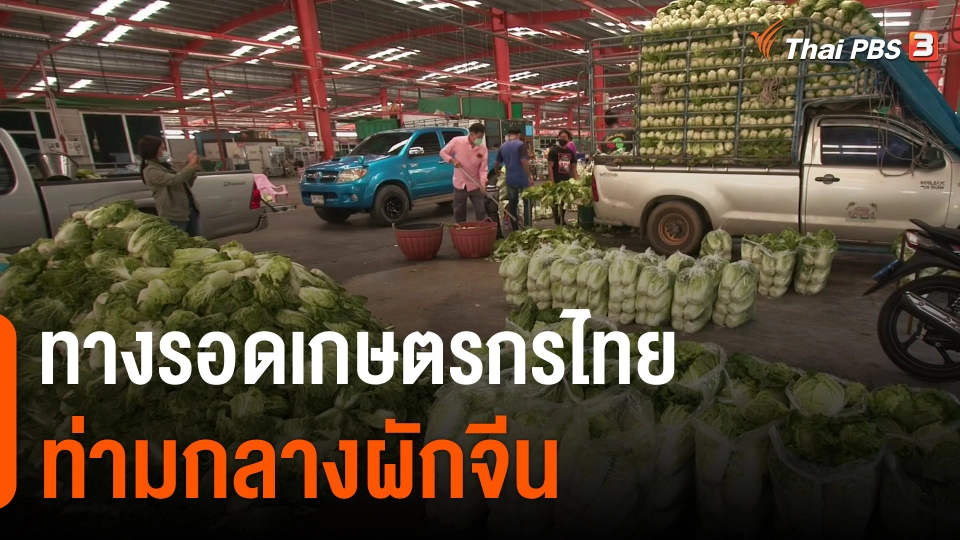 ​กินอยู่รู้รอบ : ทางรอดเกษตรกรไทยท่ามกลางผักจีน