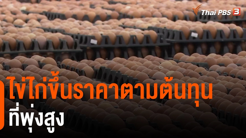 ​ไข่ไก่ขึ้นราคาตามต้นทุนที่พุ่งสูง