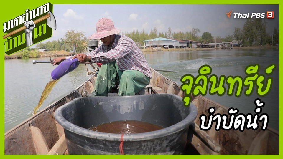 ​สูตรลับฉบับบ้านนา : จุลินทรีย์บำบัดน้ำ