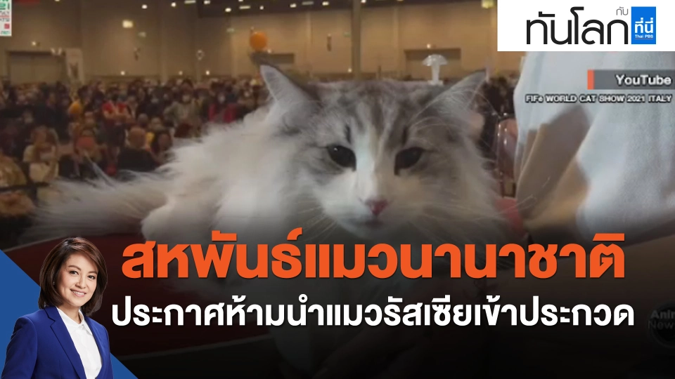 สหพันธ์แมวนานาชาติประกาศห้ามนำแมวรัสเซียเข้าประกวด