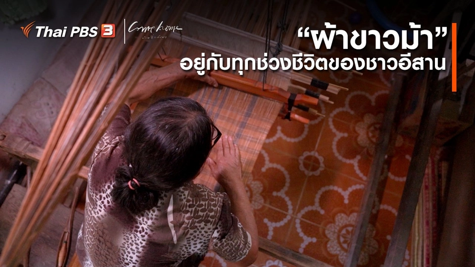 ​เรื่องเล่าคนกลับบ้าน : “ผ้าขาวม้า” อยู่กับทุกช่วงชีวิตของชาวอีสาน