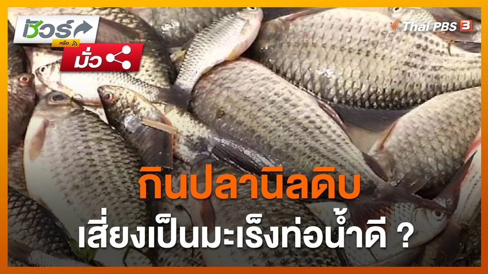 ชัวร์หรือมั่ว : กินปลานิลดิบ เสี่ยงเป็นมะเร็งท่อน้ำดี ?