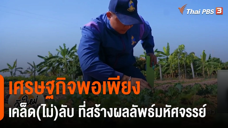 ดอกผลของความยั่งยืน : เคล็ด(ไม่)ลับ ที่สร้างผลลัพธ์มหัศจรรย์