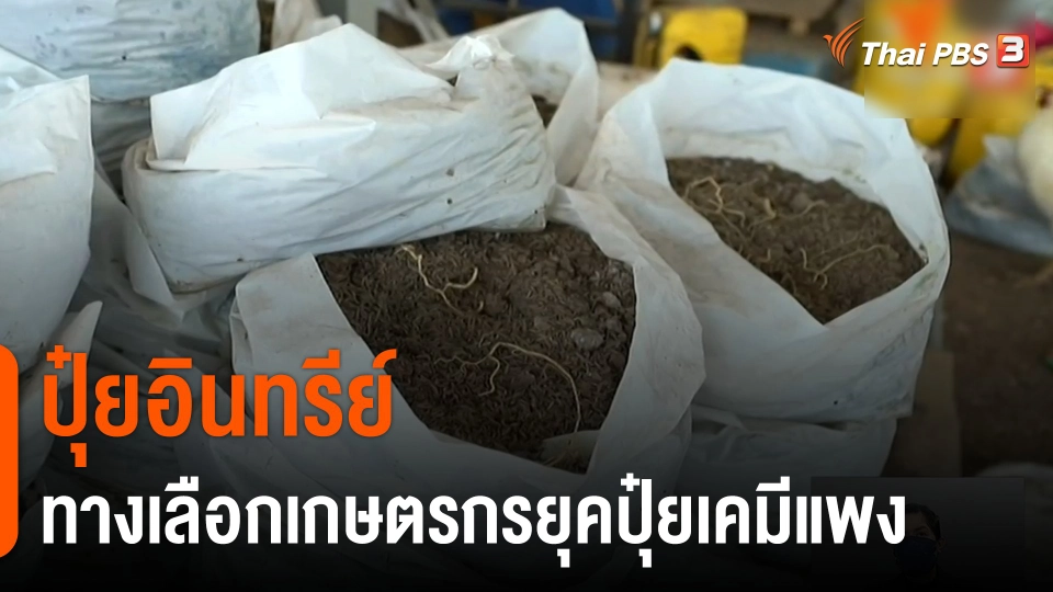 จับสัญญาณเศรษฐกิจ : ปุ๋ยอินทรีย์ ทางเลือกเกษตรกรยุคปุ๋ยเคมีแพง