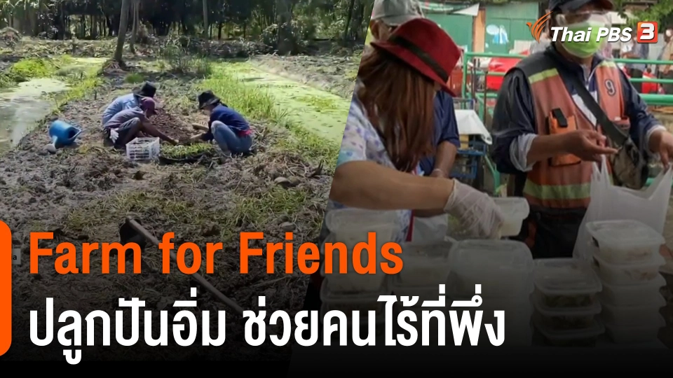 ประเด็นสังคม : "Farm for Friends" ปลูกปันอิ่ม ช่วยคนไร้ที่พึ่ง