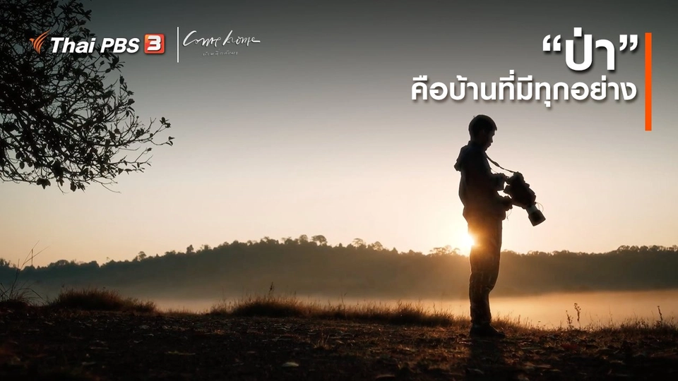 ​เรื่องเล่าคนกลับบ้าน : “ป่า” คือบ้านที่มีทุกอย่าง