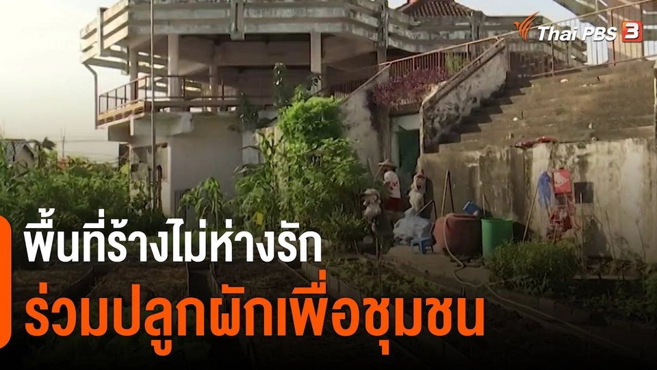 ​ดอกผลของความยั่งยืน : พื้นที่ร้างไม่ห่างรัก ร่วมปลูกผักเพื่อชุมชน