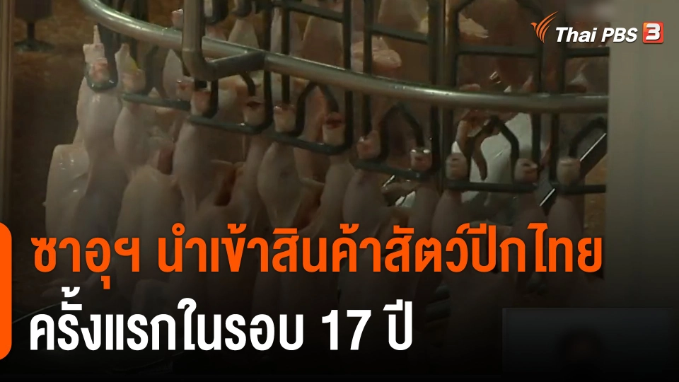 จับสัญญาณเศรษฐกิจ : เปิดตลาดสัตว์ปีกในซาอุฯ ครั้งแรกใน 17 ปี