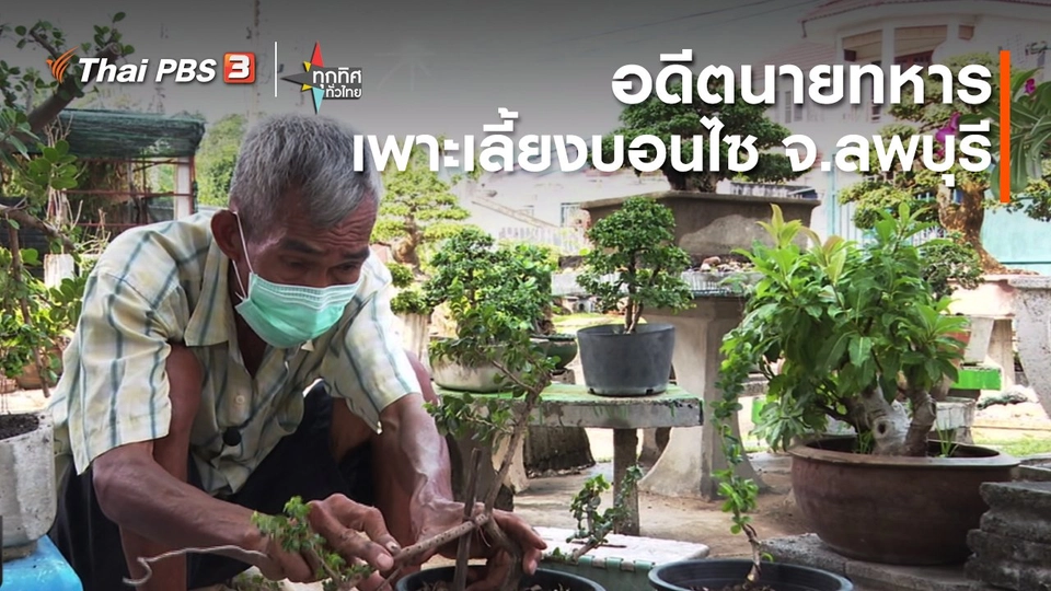 ​อาชีพทั่วไทย:อดีตนายทหารเพาะเลี้ยงบอนไซ จ.ลพบุรี