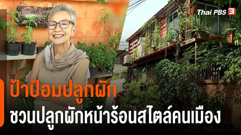 ดอกผลของความยั่งยืน : "ป้าป้อม" ชวนปลูกผักหน้าร้อนสไตล์คนเมือง