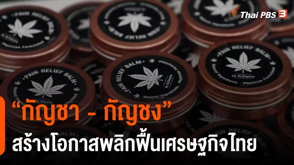 ​ประเด็นสังคม : “กัญชา - กัญชง” สร้างโอกาสพลิกฟื้นเศรษฐกิจไทย
