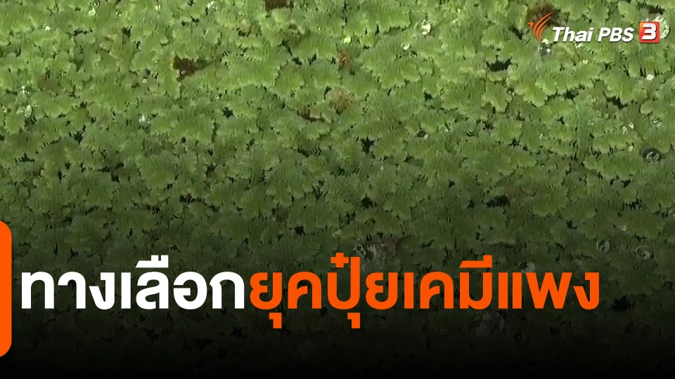 จับสัญญาณเศรษฐกิจ : ทางเลือกยุคปุ๋ยเคมีแพง​
