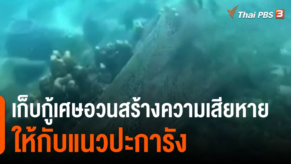 ​เก็บกู้เศษอวนสร้างความเสียหายให้กับแนวปะการัง