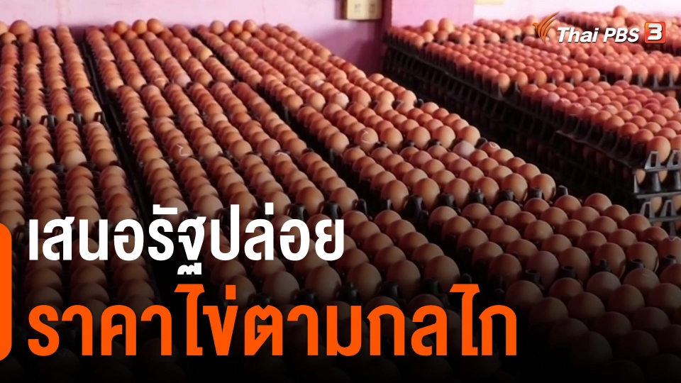 ​กินอยู่รู้รอบ : เสนอรัฐปล่อยราคาไข่ตามกลไก