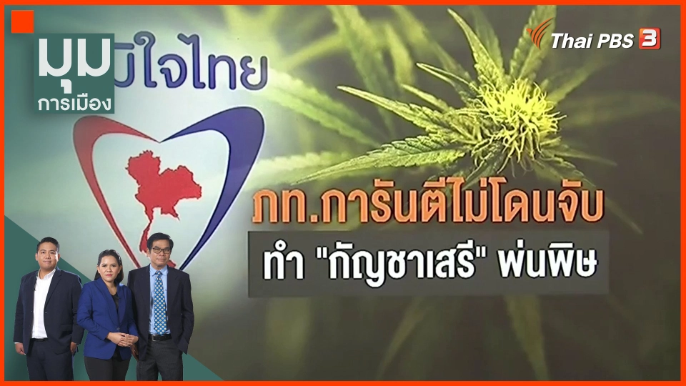 ​ภท. การันตีไม่โดนจับ ทำ "กัญชาเสรี" พ่นพิษ
