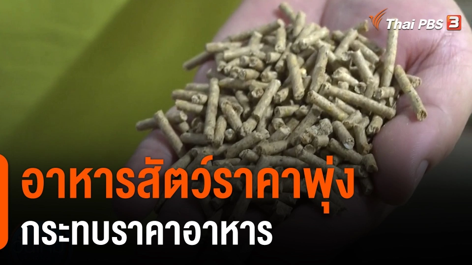 ​กินอยู่รู้รอบ : อาหารสัตว์ราคาพุ่งกระทบราคาอาหาร