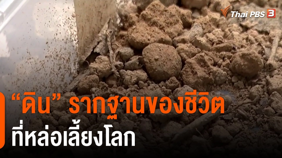 ​ประเด็นสังคม : "ดิน" รากฐานของชีวิตที่หล่อเลี้ยงโลก