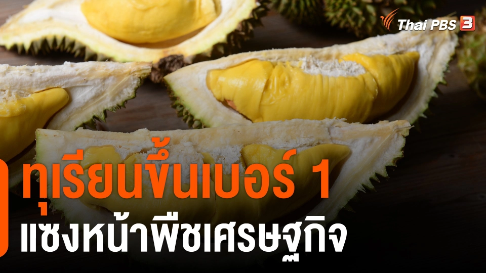 กิน อยู่ รู้รอบ : ทุเรียนขึ้นเบอร์1 แซงหน้าพืชเศรษฐกิจ