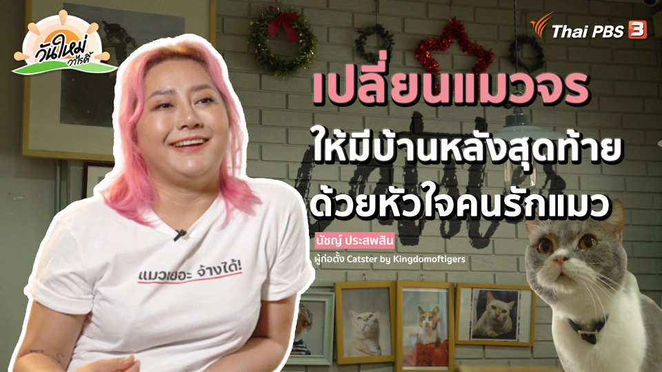 พอดีพอเพียง : เปลี่ยนแมวจรให้มีบ้านหลังสุดท้าย ด้วยหัวใจคนรักแมว