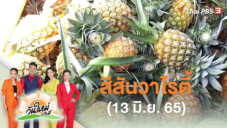 สีสันวาไรตี้ (13 มิ.ย. 65)