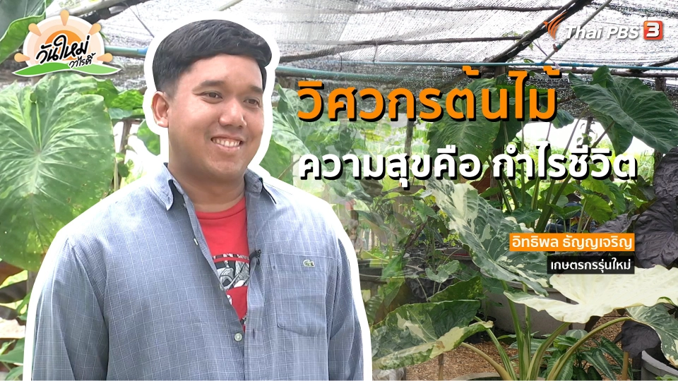 ​พอดีพอเพียง : วิศวกรต้นไม้ ความสุขคือกำไรชีวิต