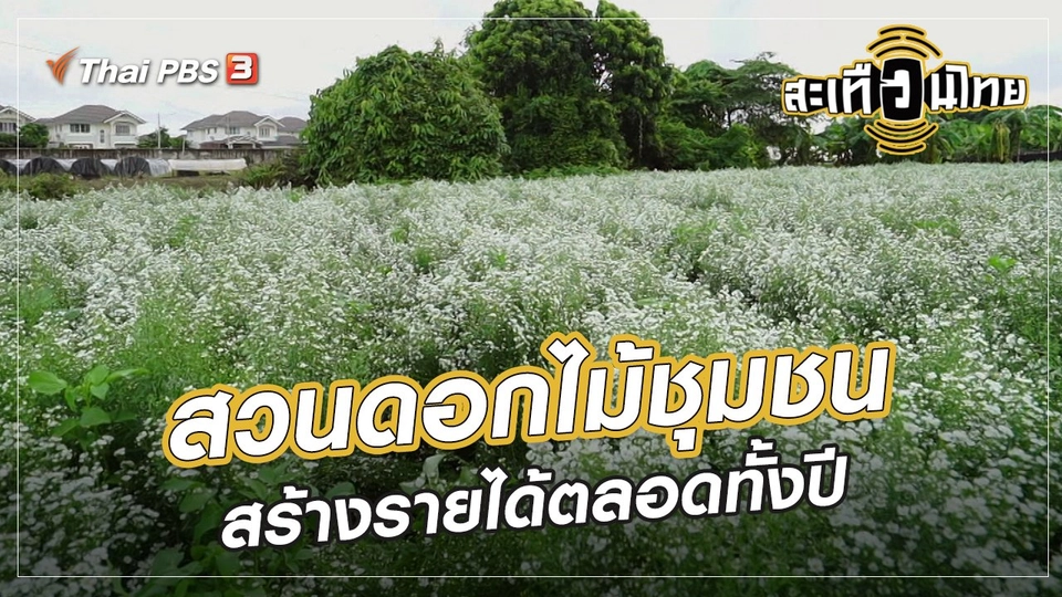 นักสร้างความเปลี่ยนแปลง : สวนดอกไม้ชุมชน สร้างรายได้ตลอดทั้งปี