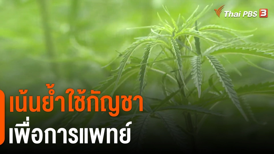 ​เน้นย้ำใช้กัญชาเพื่อการแพทย์