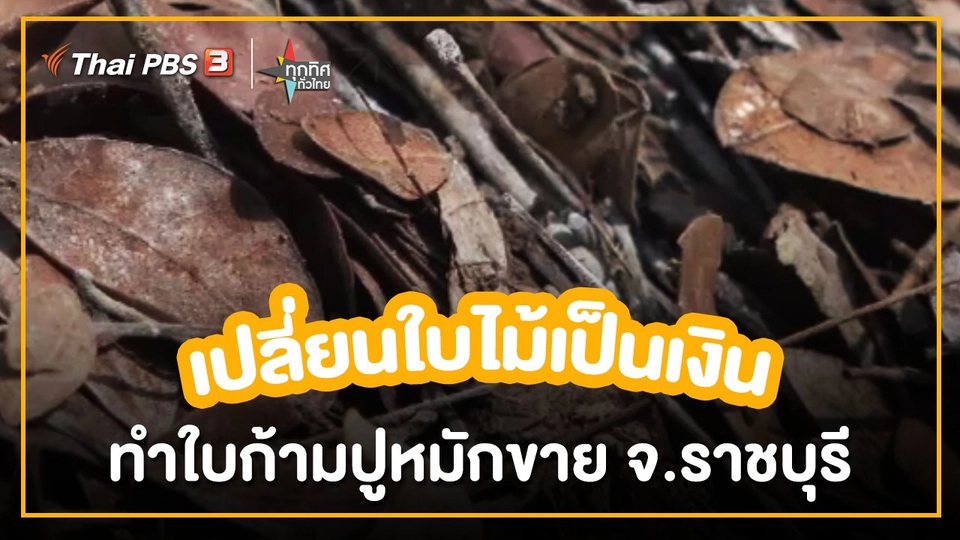 อาชีพทั่วไทย : เปลี่ยนใบไม้เป็นเงินทำใบก้ามปูหมักขาย จ.ราชบุรี