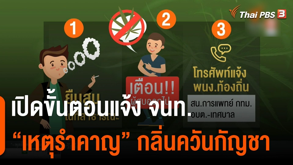 เปิดขั้นตอนแจ้ง จนท. "เหตุรำคาญ" กลิ่นควันกัญชา