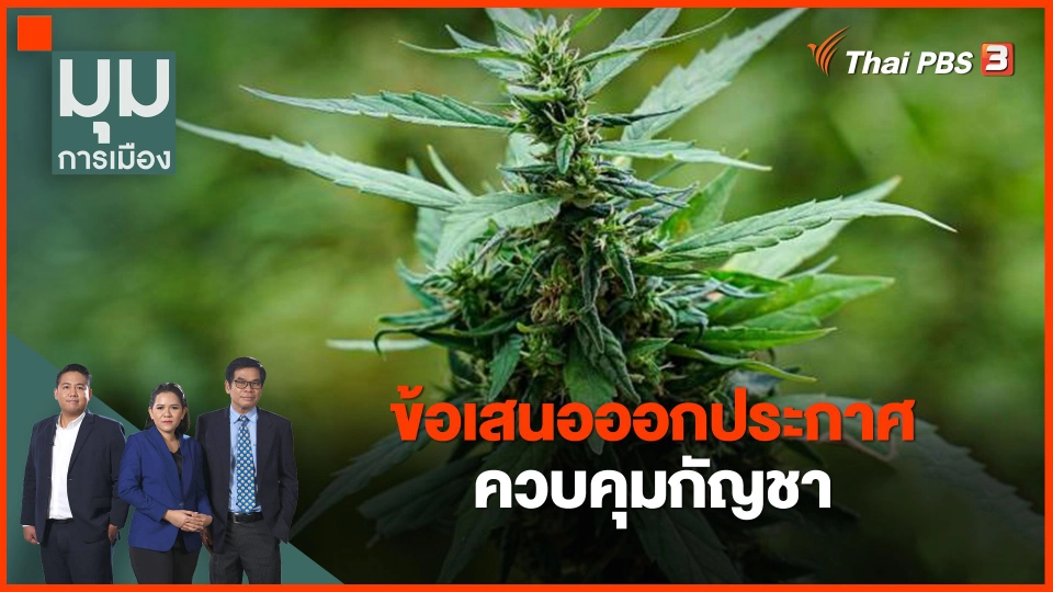 ​ข้อเสนอออกประกาศควบคุมกัญชา