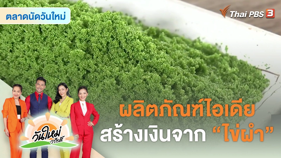 ​สีสันวาไรตี้ : ผลิตภัณฑ์ไอเดียสร้างเงินจาก "ไข่ผำ" จ.กาญจนบุรี