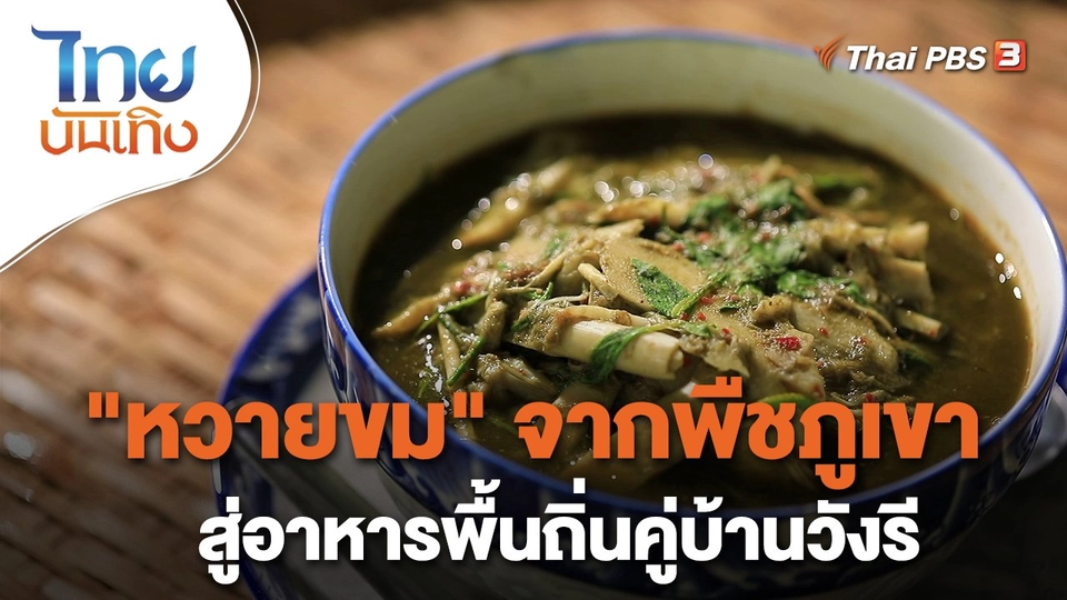 ​อิ่มมนต์รส : "หวายขม" จากพืชภูเขาสู่อาหารพื้นถิ่นคู่บ้านวังรี