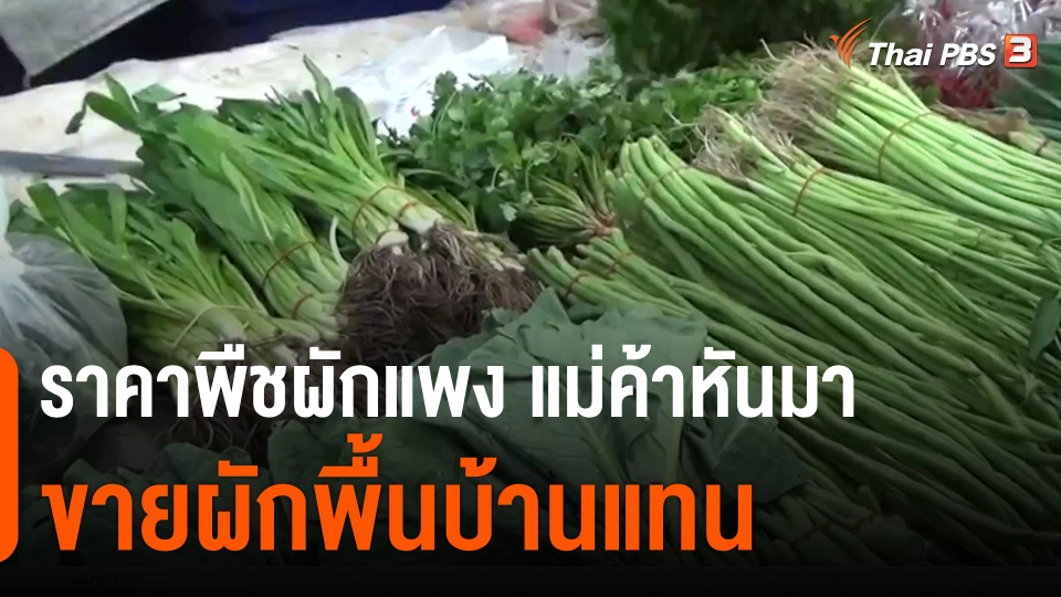 ​ราคาพืชผักแพง แม่ค้าหันมาขายผักพื้นบ้านแทน จ.บุรีรัมย์​