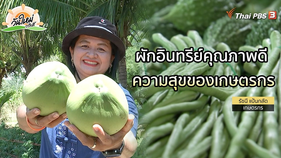 ​พอดีพอเพียง : ผักอินทรีย์ คือความสุขของเกษตรกร