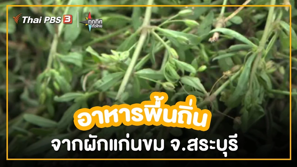 ​อาชีพทั่วไทย : อาหารพื้นถิ่นจากผักแก่นขม จ.สระบุรี