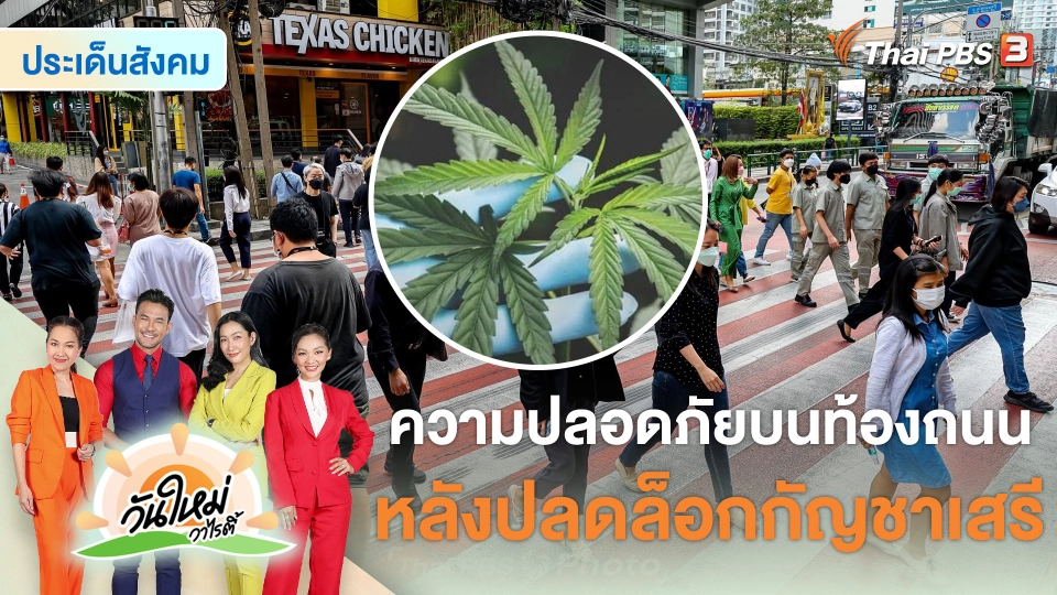 ประเด็นสังคม : ความปลอดภัยบนท้องถนน หลังปลดล็อกกัญชาเสรี