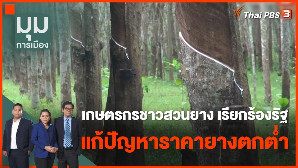 เกษตรกรชาวสวนยาง เรียกร้องรัฐแก้ปัญหาราคายางตกต่ำ