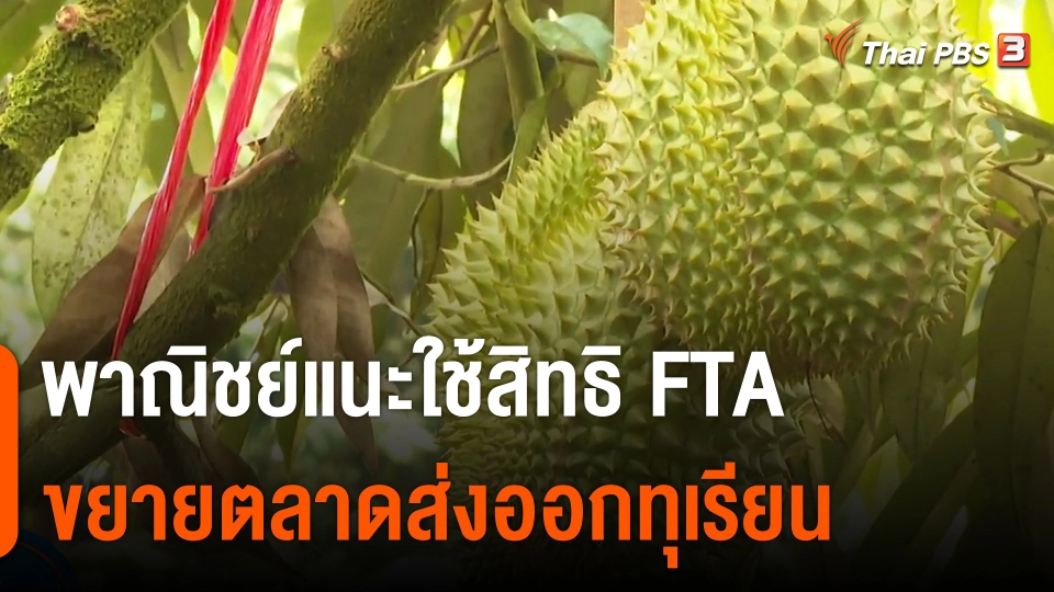 กินอยู่รู้รอบ : พาณิชย์แนะใช้สิทธิ​ FTA ขยายตลาดส่งออกทุเรียน