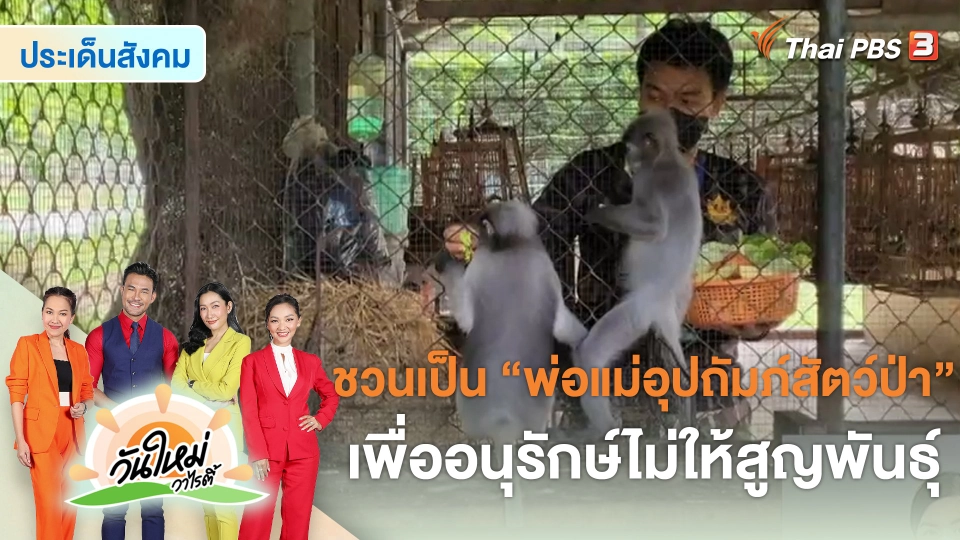 ประเด็นสังคม : ชวนเป็น “พ่อแม่อุปถัมภ์สัตว์ป่า” เพื่ออนุรักษ์ไม่ให้สูญพันธุ์