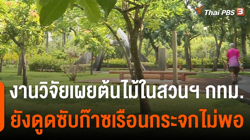 งานวิจัยเผยต้นไม้ในสวนสาธารณะ กทม.ยังดูดซับก๊าซเรือนกระจกไม่พอ