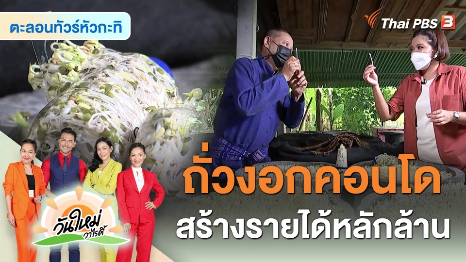 ตะลอนทัวร์หัวกะทิ : ถั่วงอกคอนโด สร้างรายได้หลักล้าน