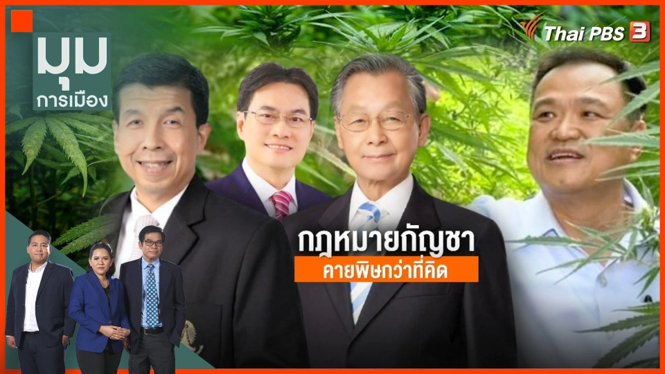 "กฎหมายกัญชา" คายพิษกว่าที่คิด