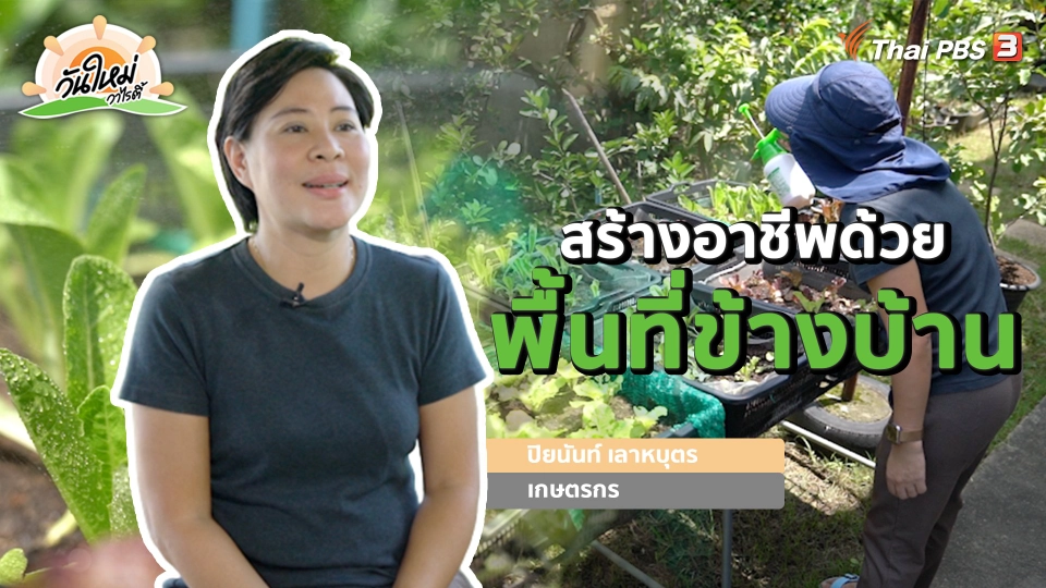 พอดีพอเพียง : สร้างอาชีพด้วยพื้นที่ข้างบ้าน