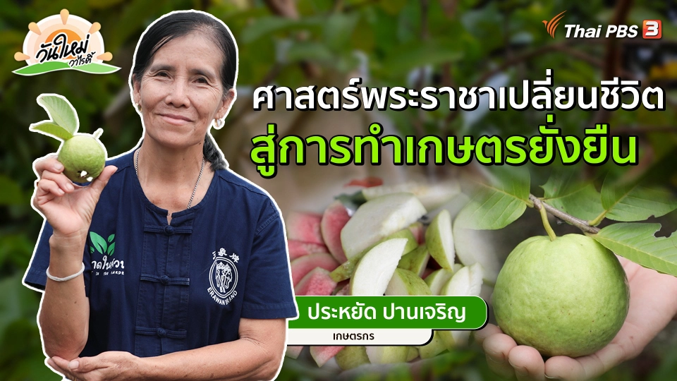 พอดีพอเพียง : ศาสตร์พระราชาเปลี่ยนชีวิต สู่การทำเกษตรยั่งยืน